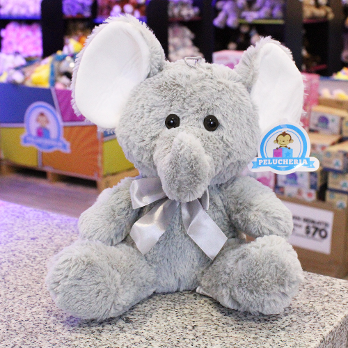 A096-ELEFANTE-TEO-2