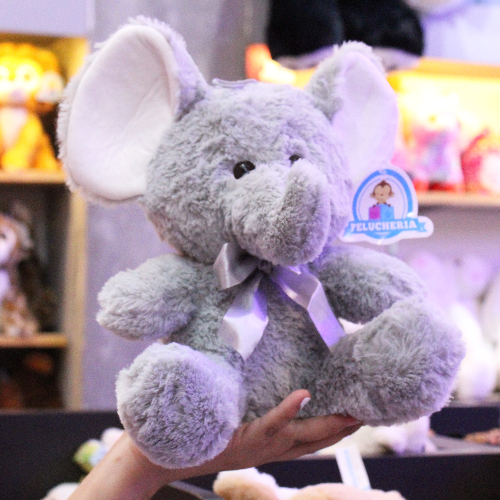 A096-ELEFANTE-TEO-4