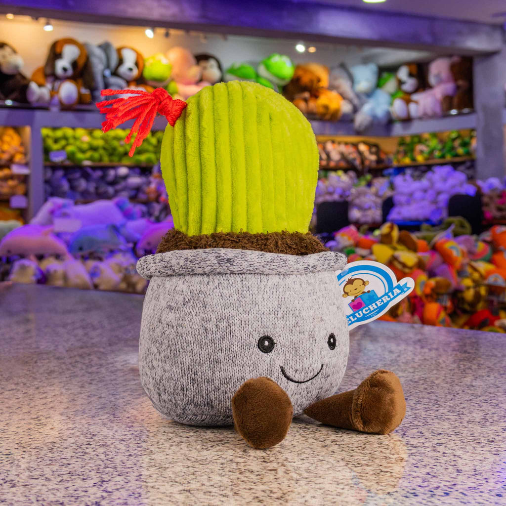 Cactus de peluche. Ideal para mayoristas y tiendas de regalos