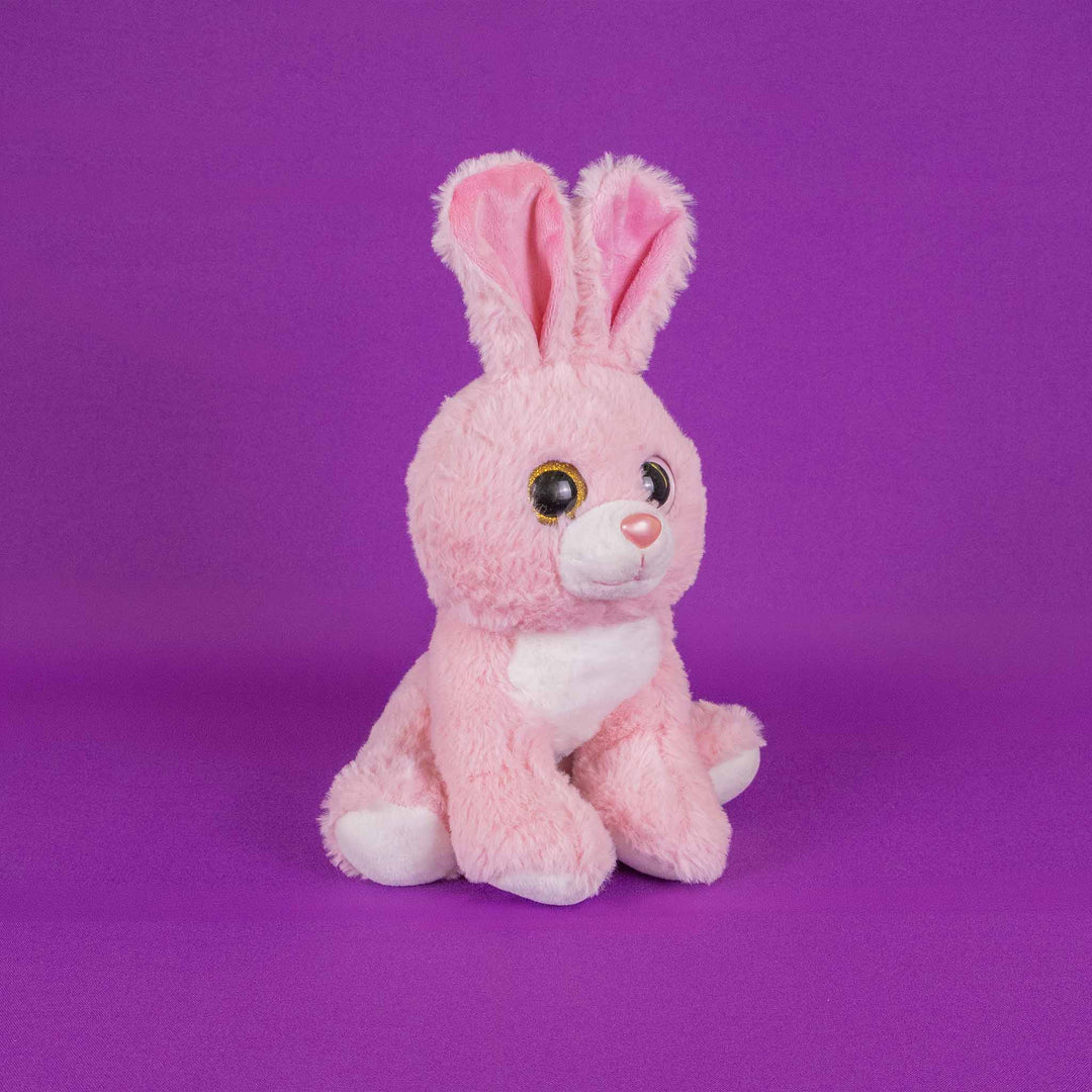 Set de 9 piezas Zoológico de peluche animales de 25 cm, perro, gato, conejo, panda, oso, rana, chango, mapache y elefante