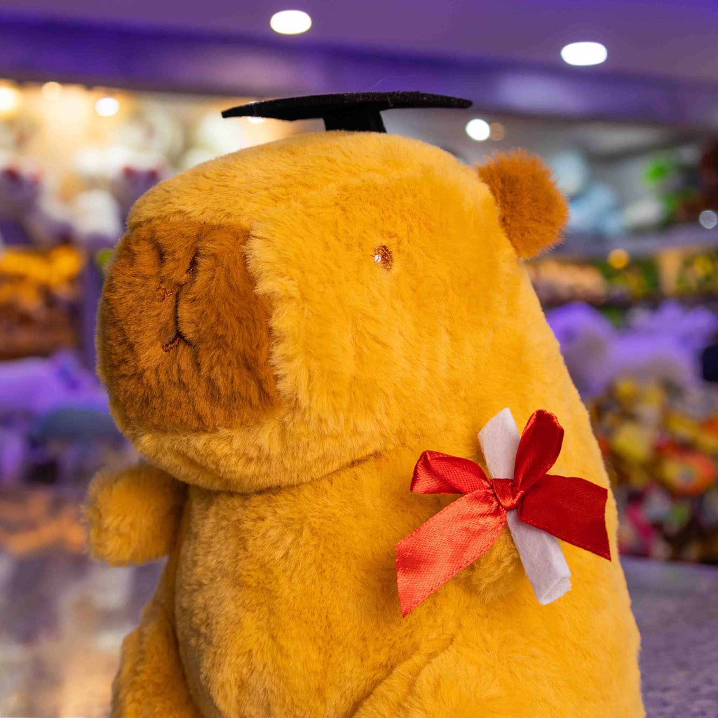 Capibara de peluche graduada, perfecta para regalar en graduaciones y eventos. Peluches de graduación 
