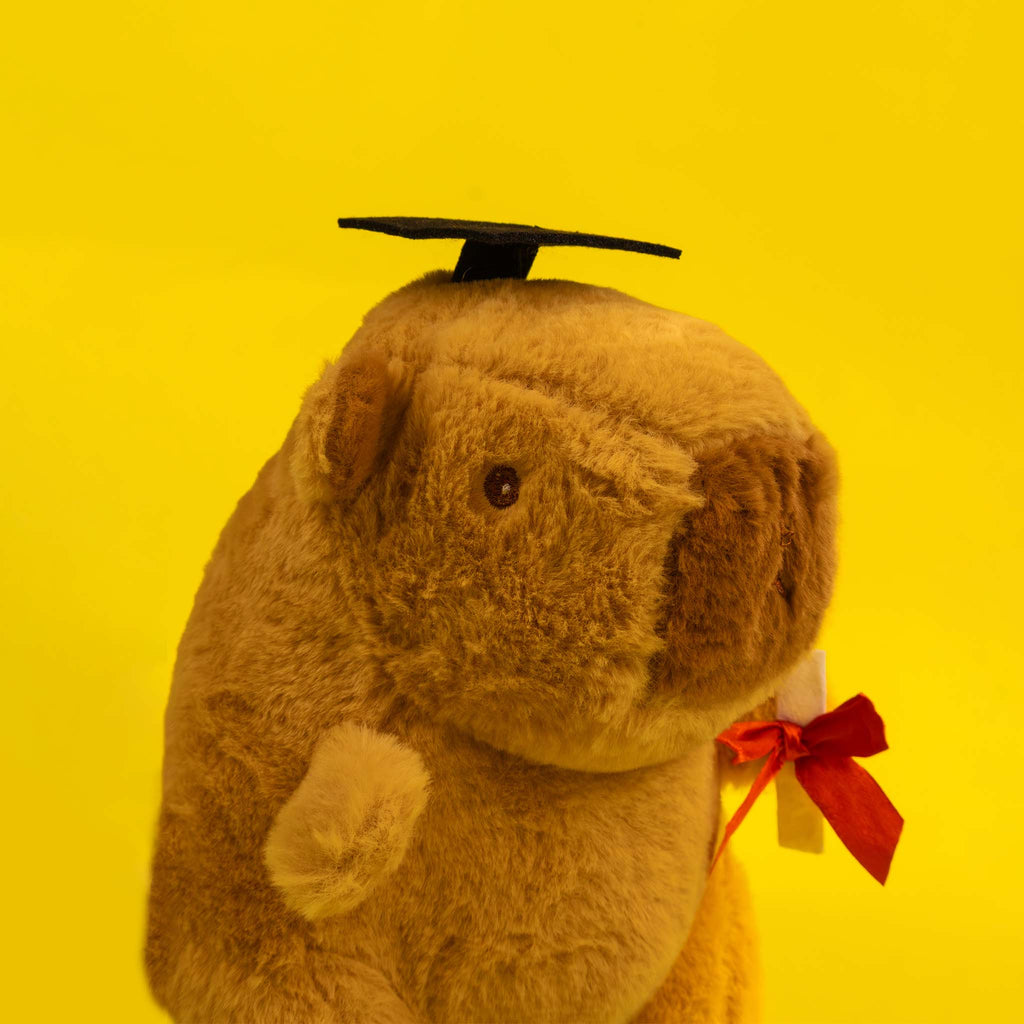 Capibara de peluche graduada, perfecta para regalar en graduaciones y eventos. Peluches de graduación 