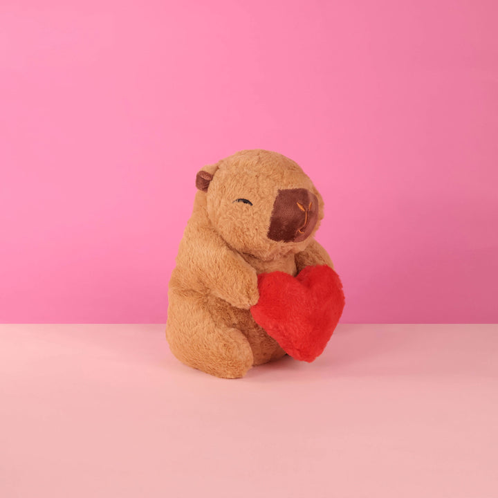 Capibara de peluche al mayoreo. Peluches de novedad para San Valentín 
