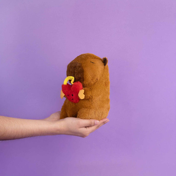 Capibara de peluche para San Valentín. Peluches ideales para maquinas de garra , maquinas de peluches. 