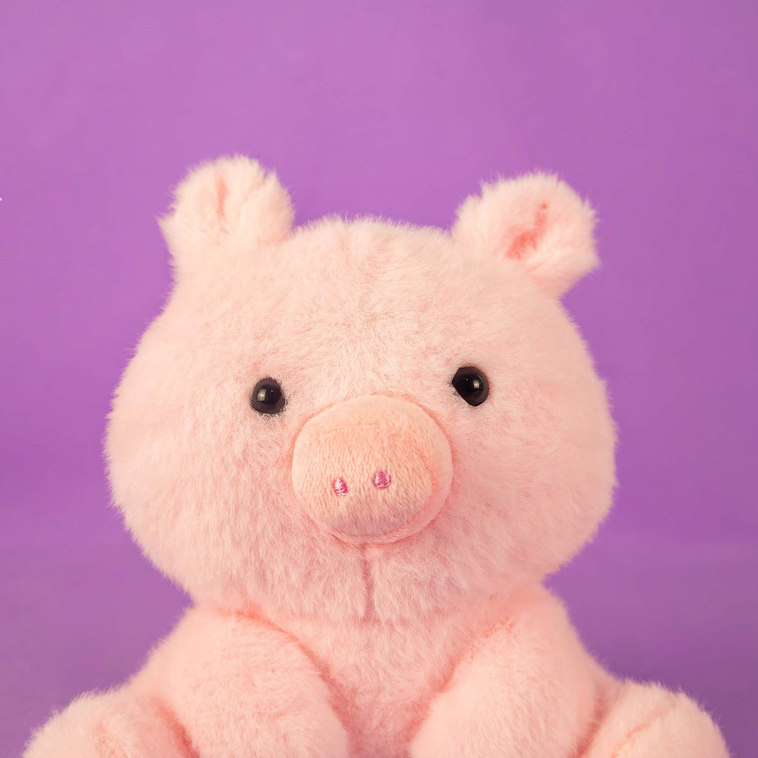 Cerdito de peluche, Peluches para baby showers, eventos y decoraciones. Tiendas de regalos y distribuidores 