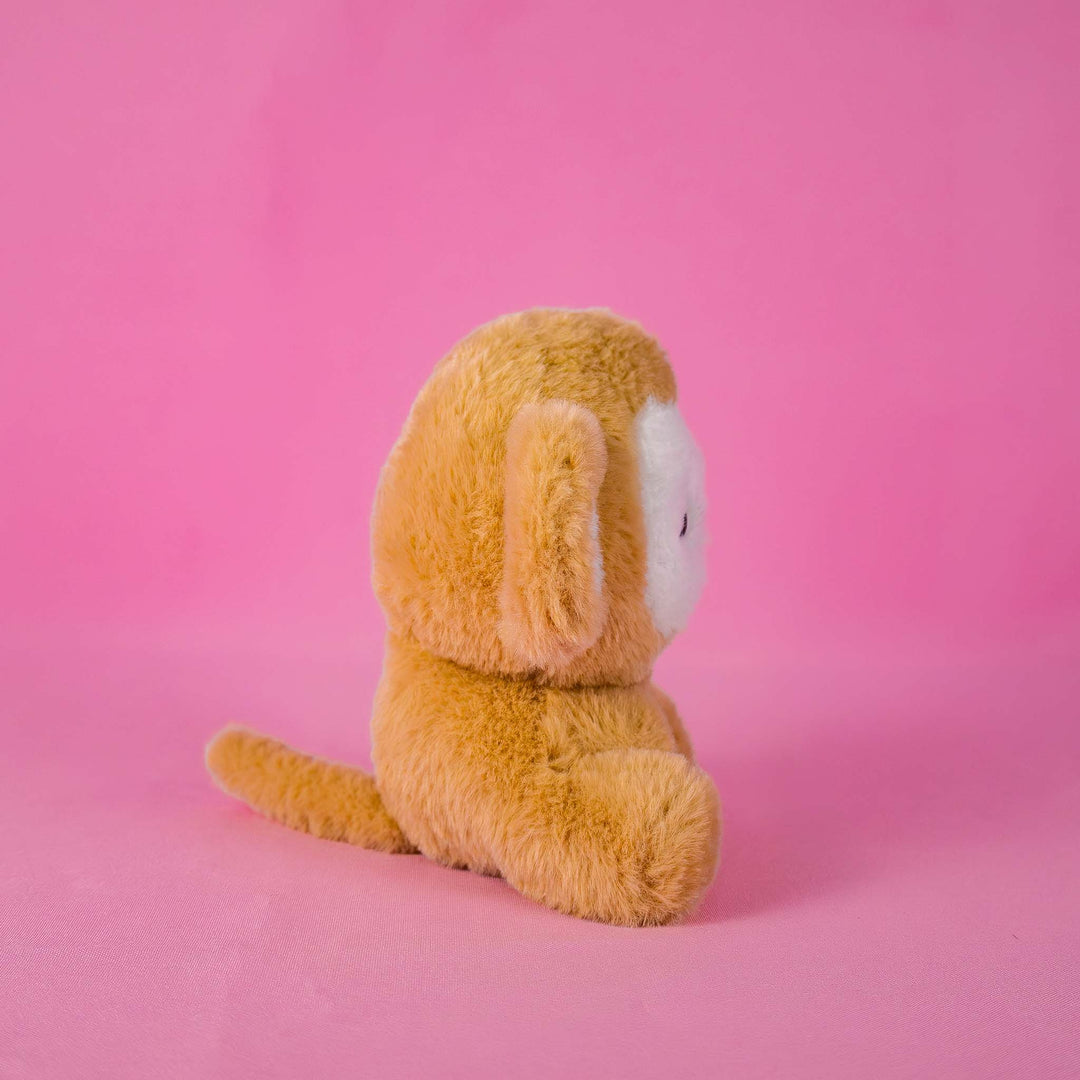 Chango de peluche, Peluches para baby showers, eventos y decoraciones. Tiendas de regalos y distribuidores 