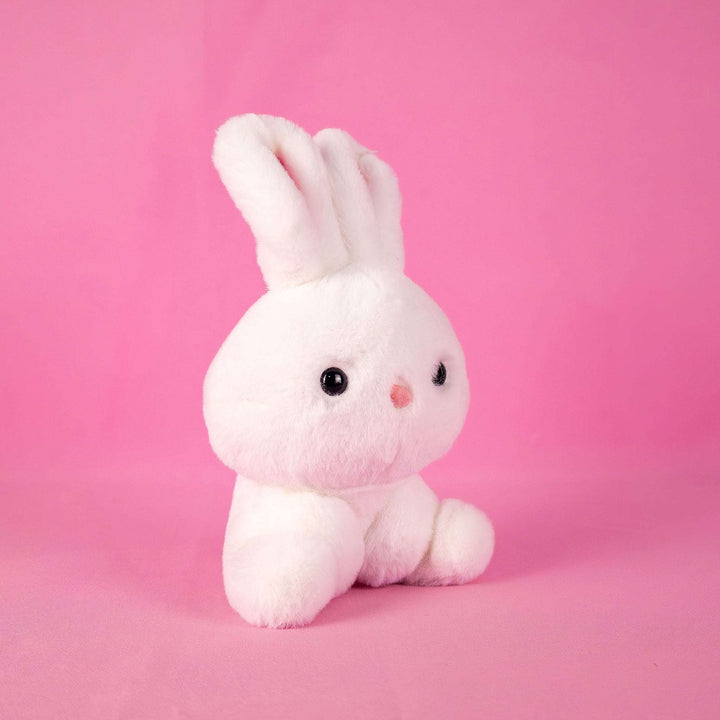 Conejo de peluche,  Peluches para baby showers, eventos y decoraciones. Tiendas de regalos y distribuidores 