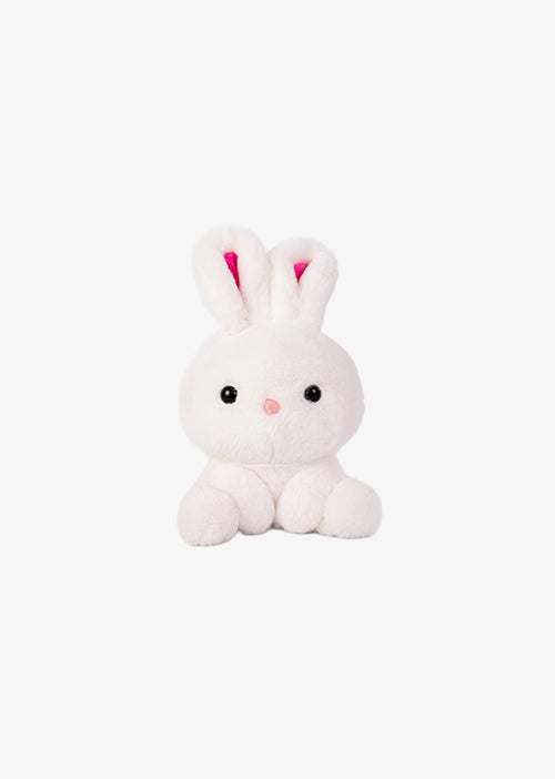 Conejo de peluche,  Peluches para baby showers, eventos y decoraciones. Tiendas de regalos y distribuidores 