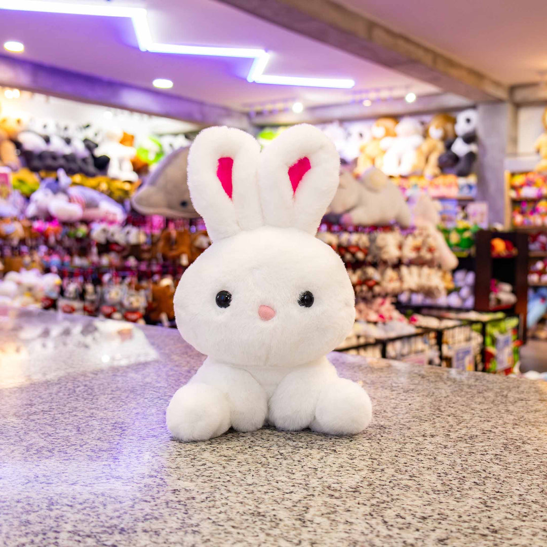 Conejo de peluche,  Peluches para baby showers, eventos y decoraciones. Tiendas de regalos y distribuidores 
