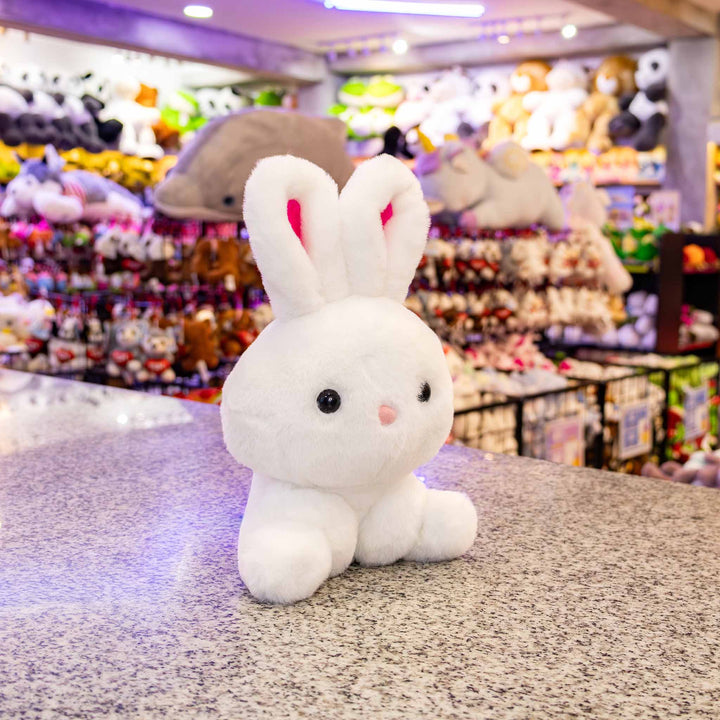 Conejo de peluche,  Peluches para baby showers, eventos y decoraciones. Tiendas de regalos y distribuidores 