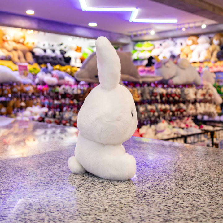 Conejo de peluche,  Peluches para baby showers, eventos y decoraciones. Tiendas de regalos y distribuidores 