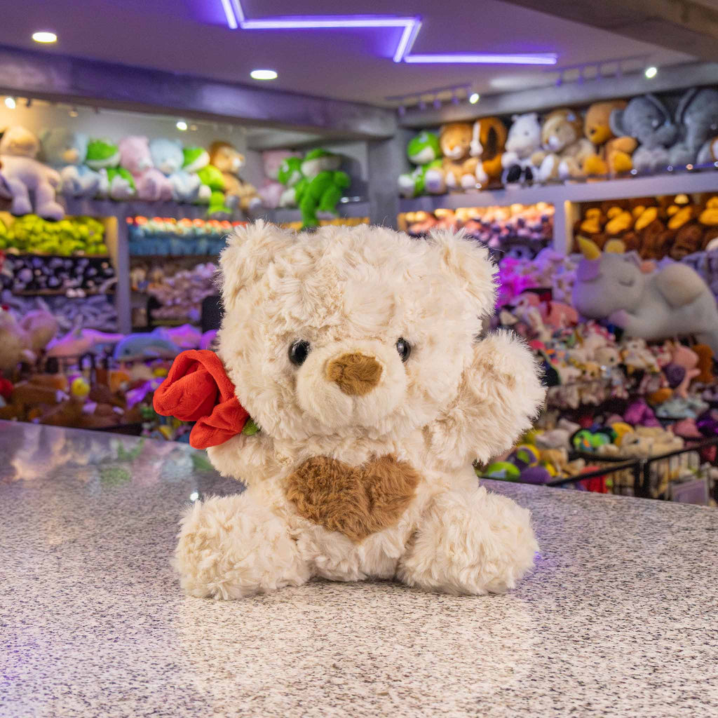 Osos de peluche para San Valentín , temporada de amor . Ideales para tiendas de regalo y distribución.  