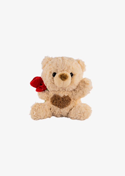 Osos de peluche para San Valentín , temporada de amor . Ideales para tiendas de regalo y distribución.  