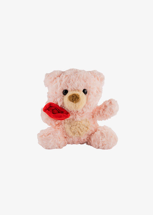 Osos de peluche para San Valentín , temporada de amor . Ideales para tiendas de regalo y distribución.  