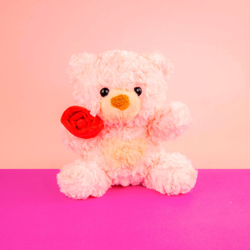 Osos de peluche al mayoreo para San Valentín. Ideales para tiendas de regalos