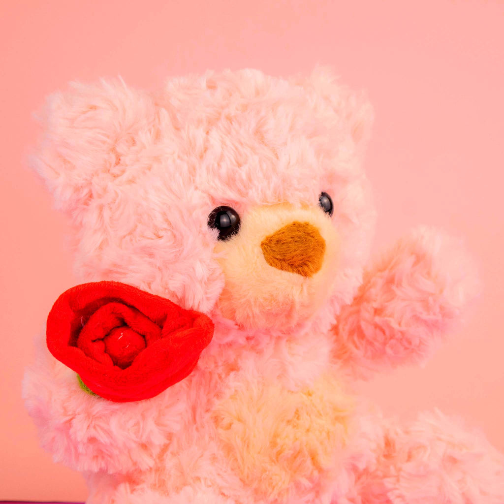 Osos de peluche al mayoreo para San Valentín. Ideales para tiendas de regalos