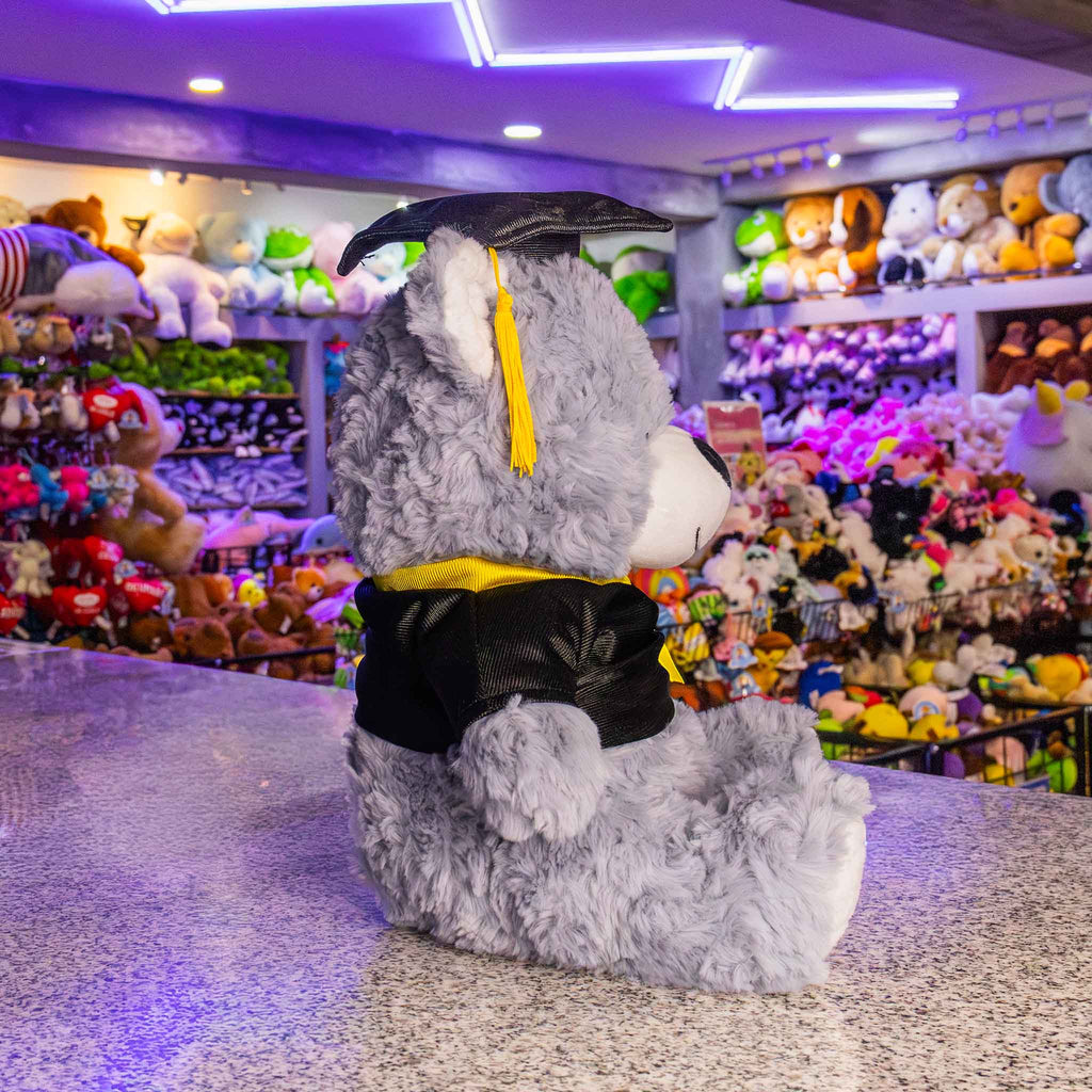 Oso de peluche graduado, regalo para graduaciones, peluches de graduación y tiendas de regalo