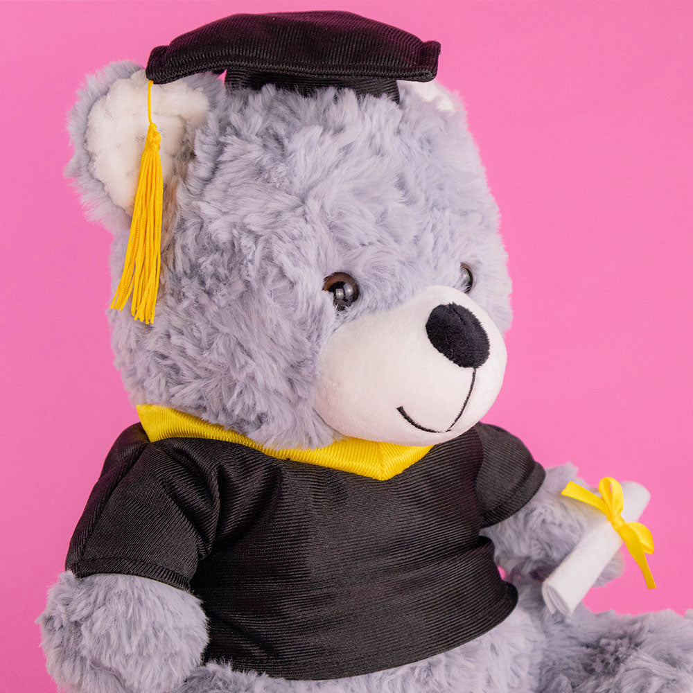 Oso de peluche graduado, regalo para graduaciones, peluches de graduación y tiendas de regalo
