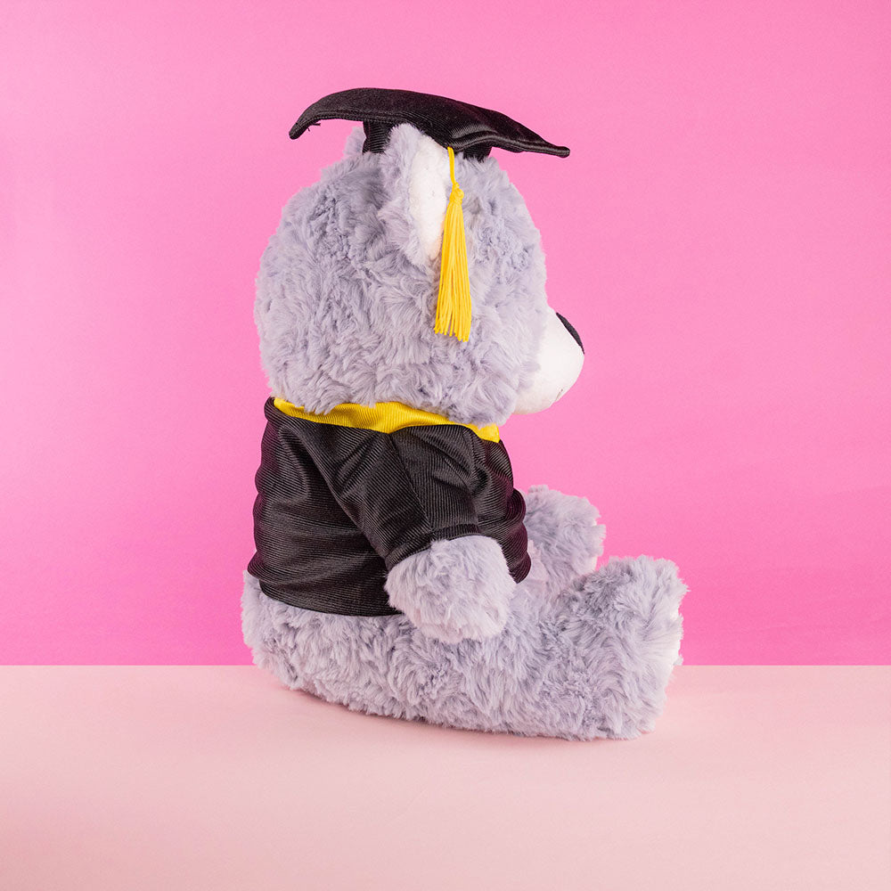 Oso de peluche graduado, regalo para graduaciones, peluches de graduación y tiendas de regalo