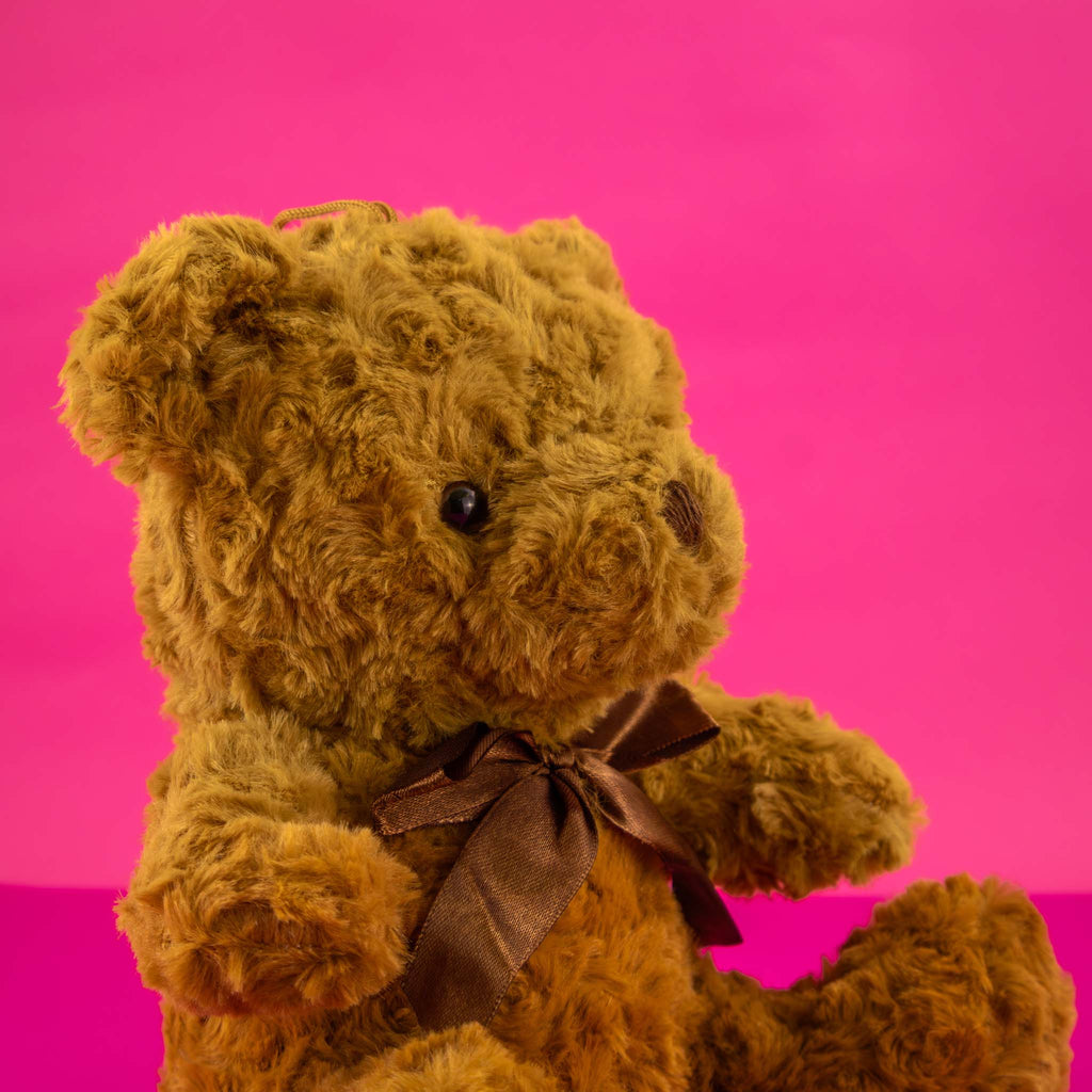 Oso de peluche café, variedad de modelos, ideales para tiendas de regalos