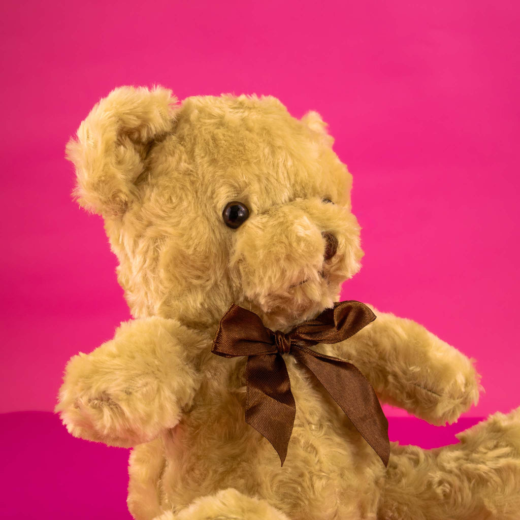 Oso de peluche café, variedad de modelos, ideales para tiendas de regalos