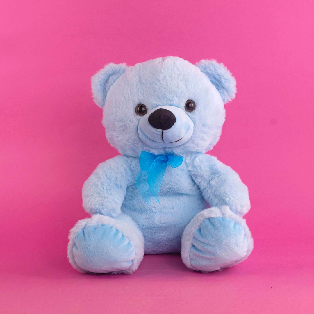 Set de 4 Piezas Osito de peluche Baby Colors 28 cm - Pelucheria