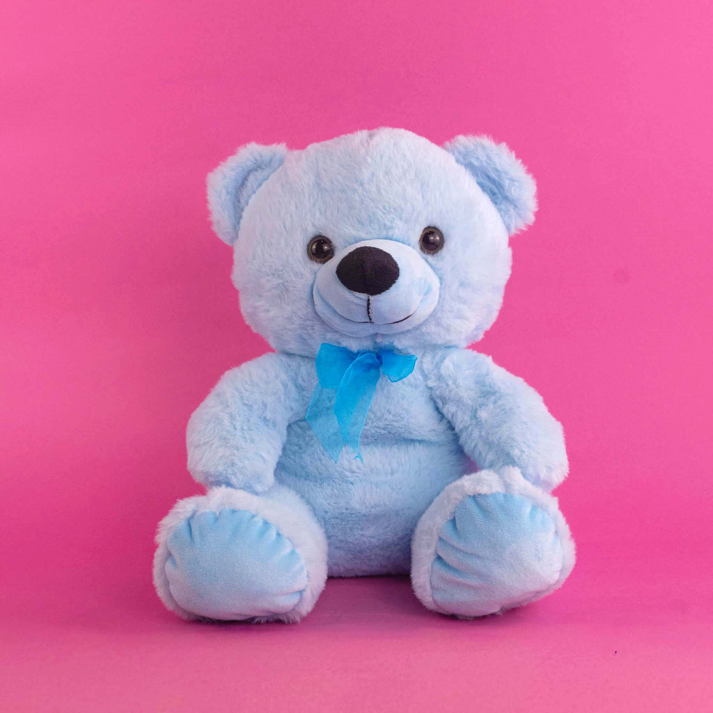 Osos de peluche colores surtidos, ideales para regalar. Peluches al mayoreo