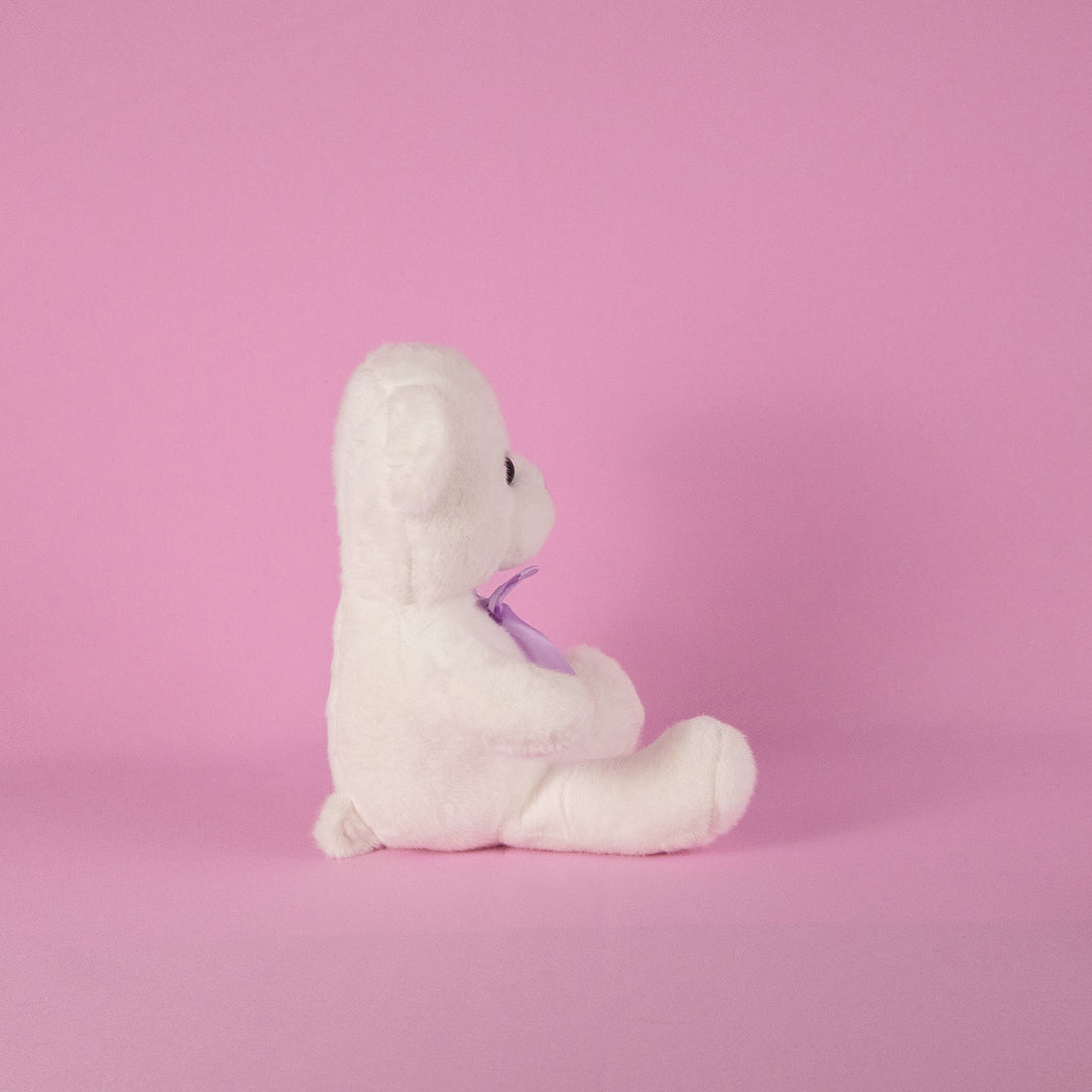 Osos de peluche en color blanco para eventos, decoraciones o mayoristas