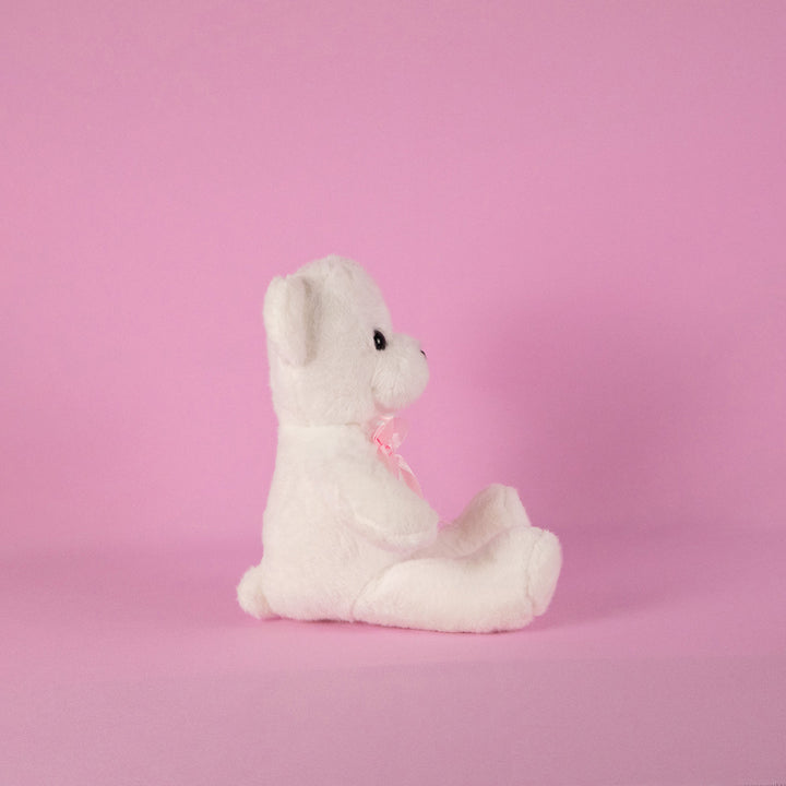 Osos de peluche en color blanco para eventos, decoraciones o mayoristas