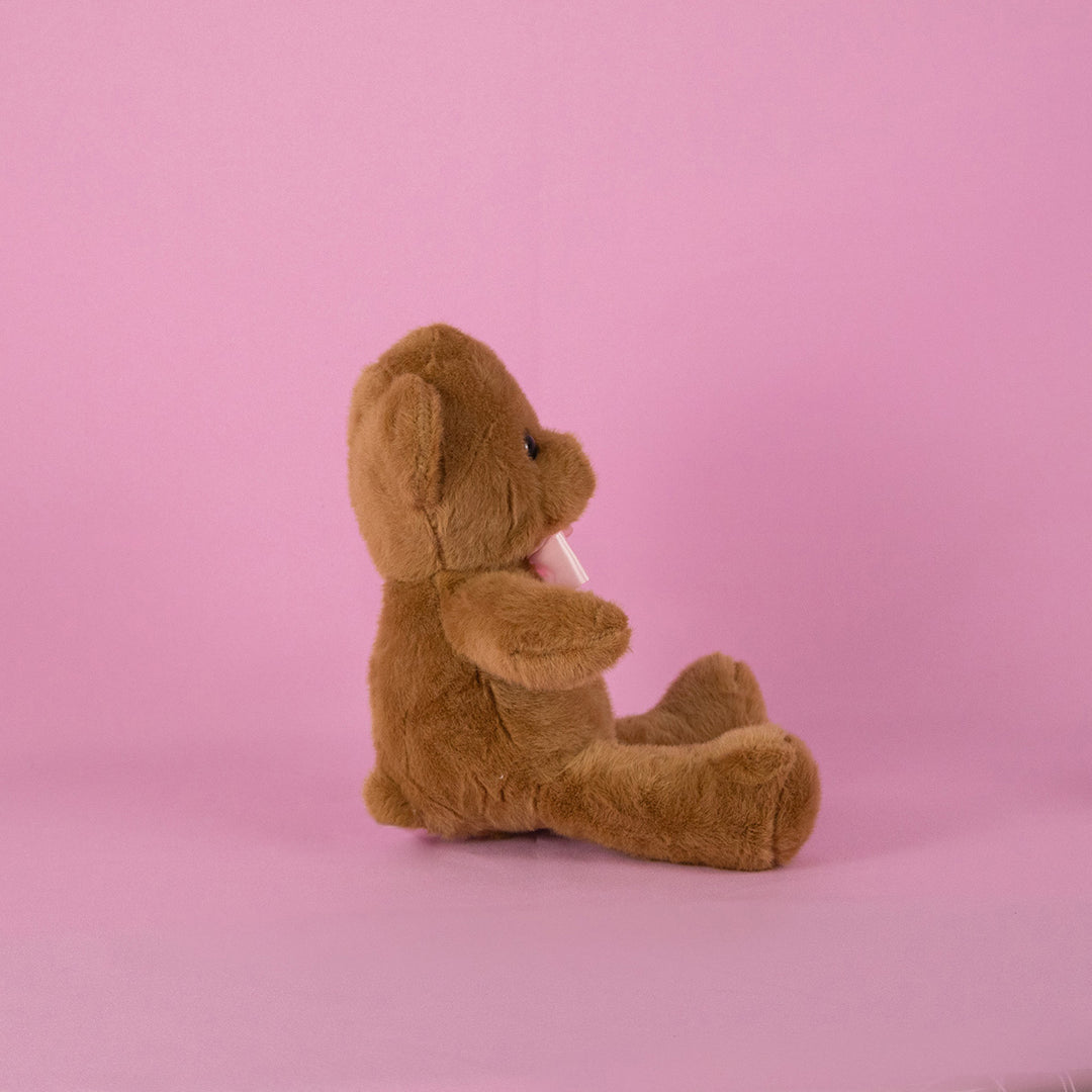 Osos de peluche en color café para eventos, decoraciones o mayoristas