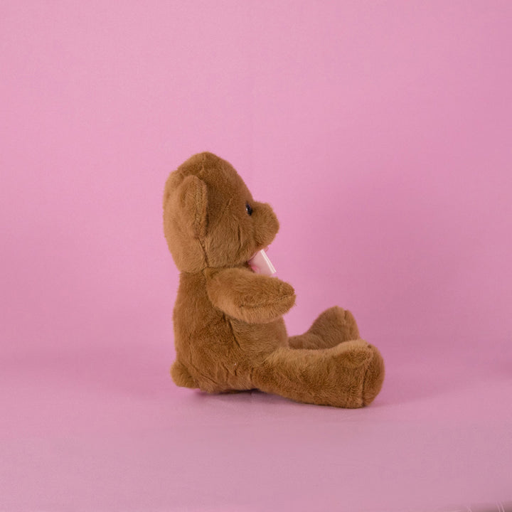 Osos de peluche en color café para eventos, decoraciones o mayoristas