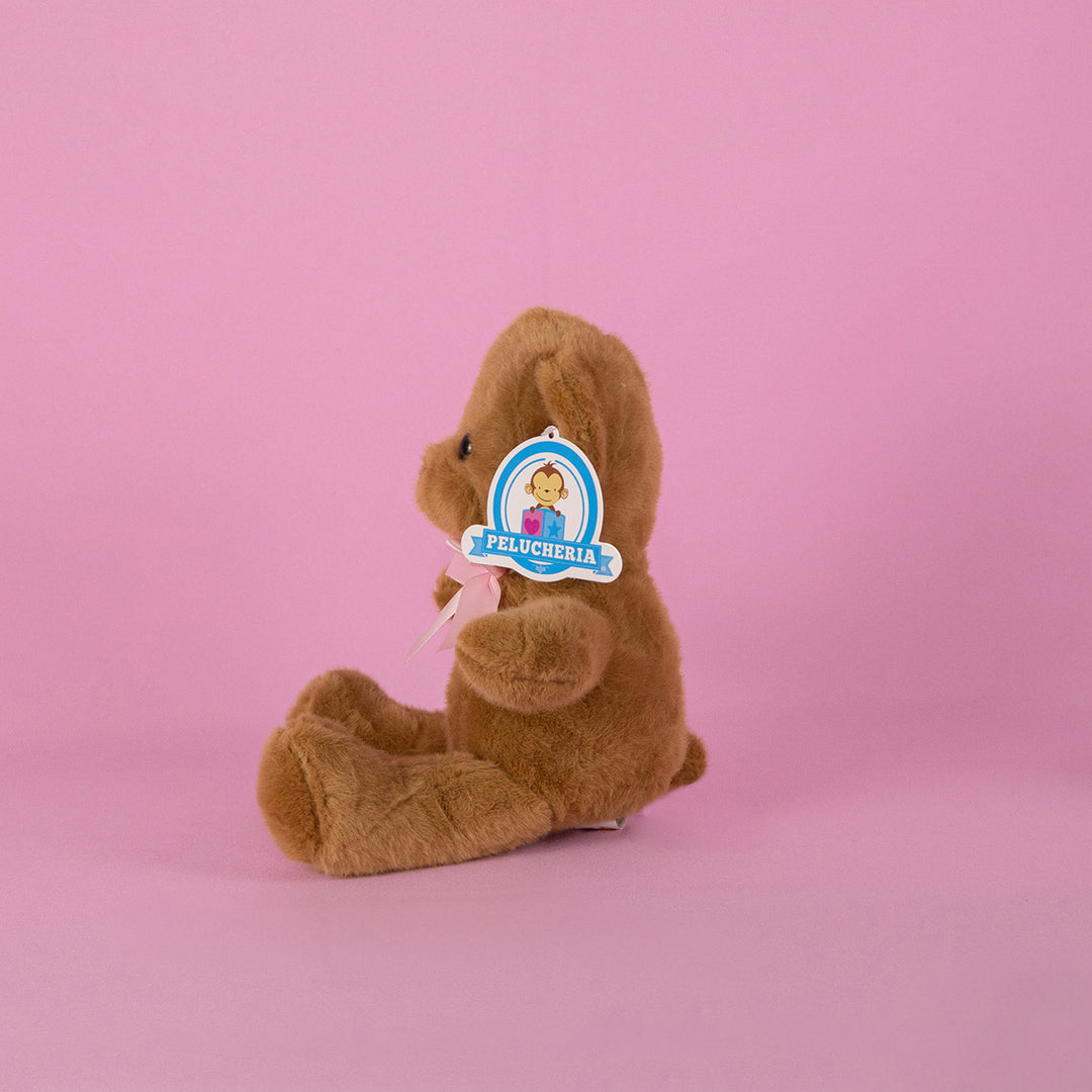 Osos de peluche en color café para eventos, decoraciones o mayoristas