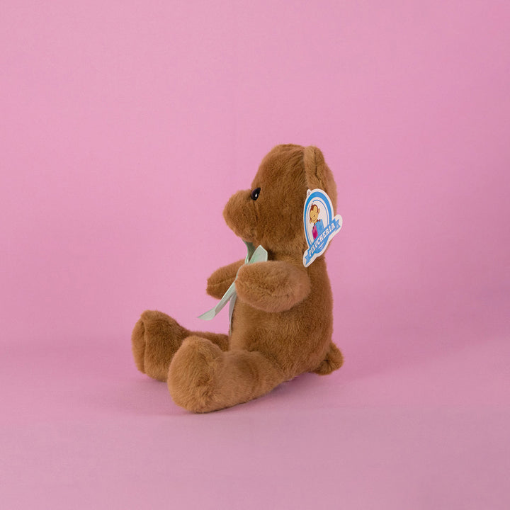 Osos de peluche en color café para eventos, decoraciones o mayoristas