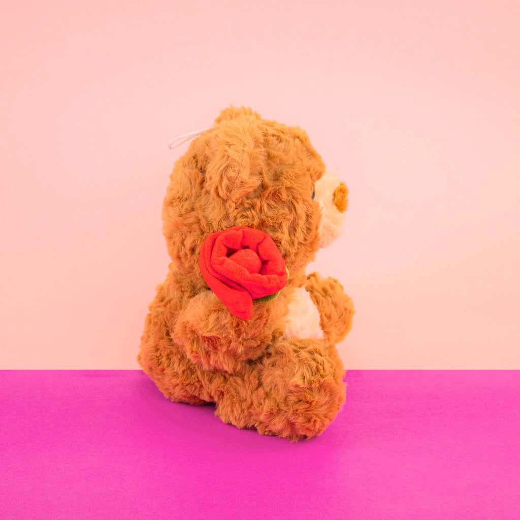 Osos de peluche al mayoreo para San Valentín. Ideales para tiendas de regalos