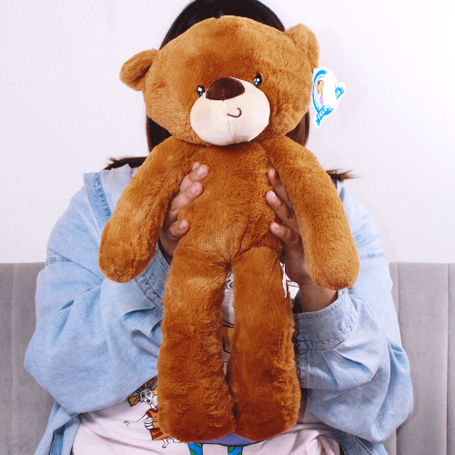 Oso de peluche B108