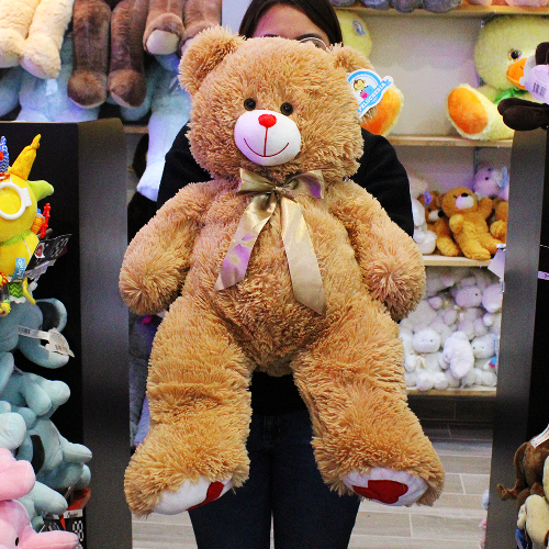 Oso de peluche B182