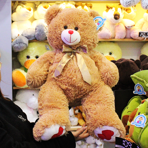 Oso de peluche B182
