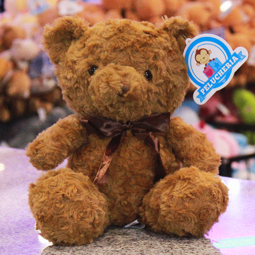 Oso de peluche adorable
