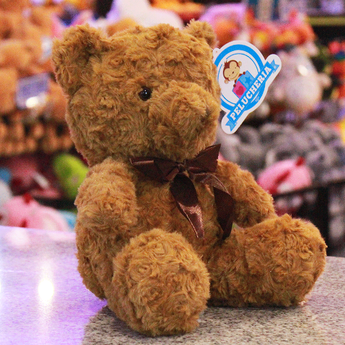 Oso de peluche adorable