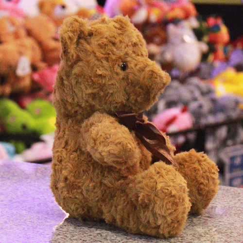 Oso de peluche