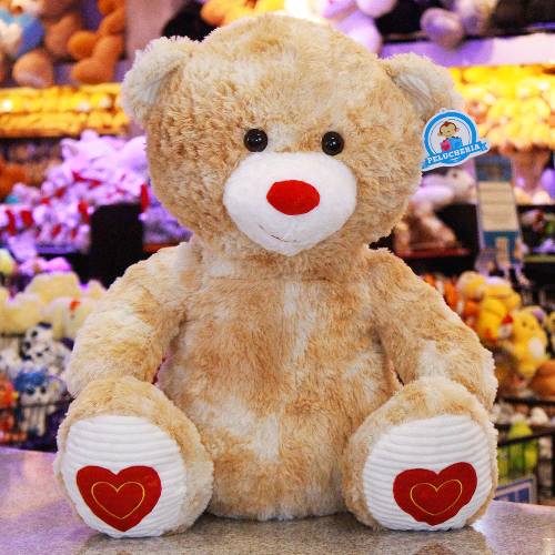 Oso de peluche Y583