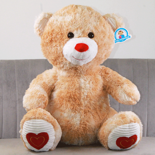 Oso de peluche Y583