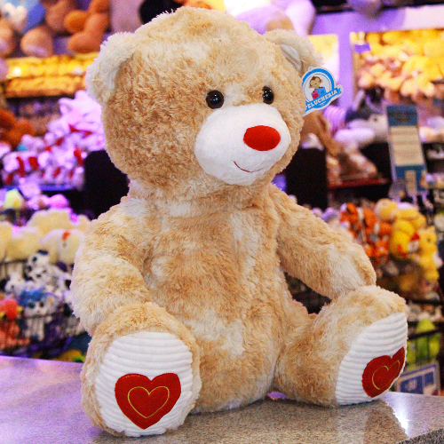 Oso de peluche Y583