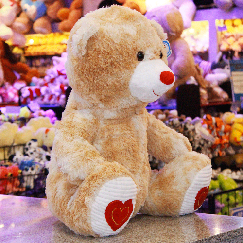Oso de peluche Y583