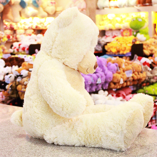 Oso de peluche beige Y586