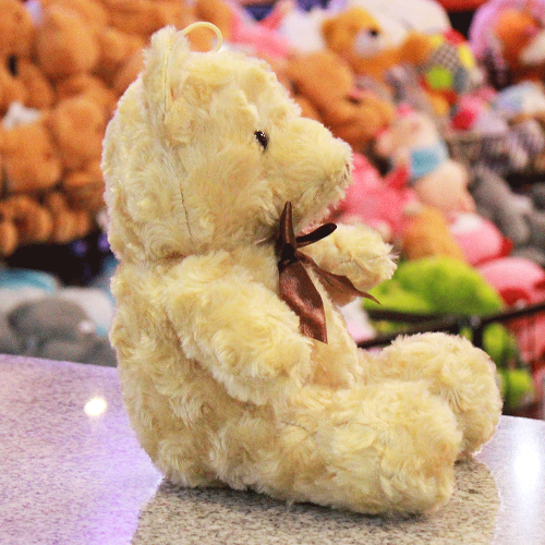 Oso de peluche color café