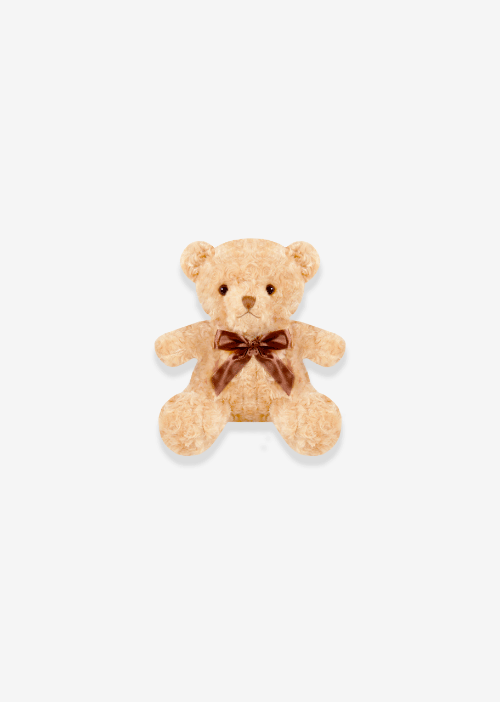 Oso de peluche color café 