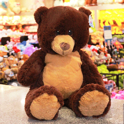 Oso de peluche color cafe Y586