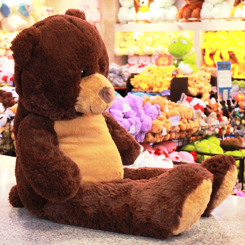 Oso de peluche color cafe Y586