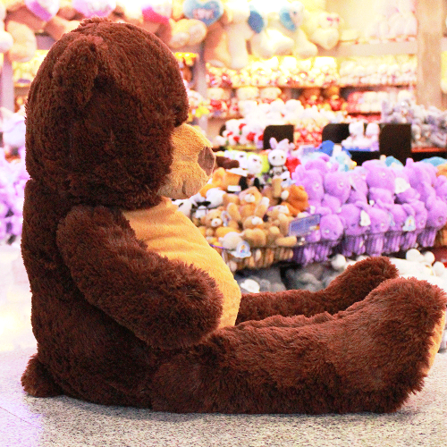 Oso de peluche color cafe Y586